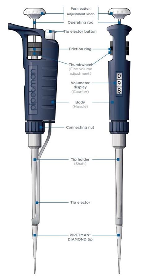 gilson pipette diagram